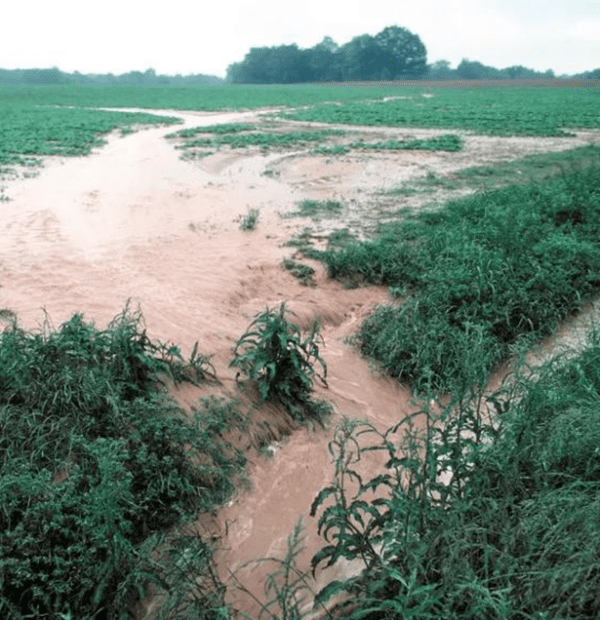 Protecting Our Waters at the Source - Stormwater Issues & Agricultural Best Management Practices and Resources for Water Quality for Source Water Protection